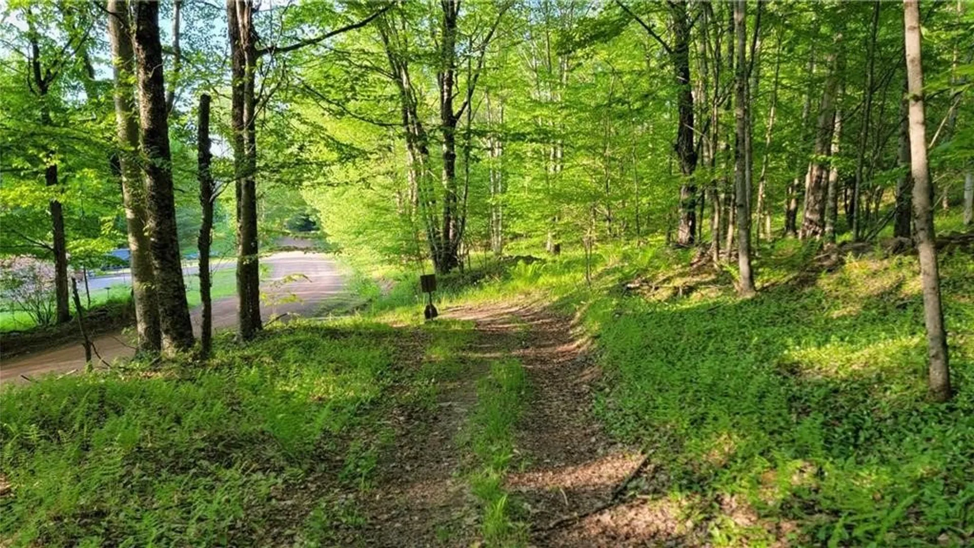 Property at Jim Lane Road, Bovina, NY 13740 7