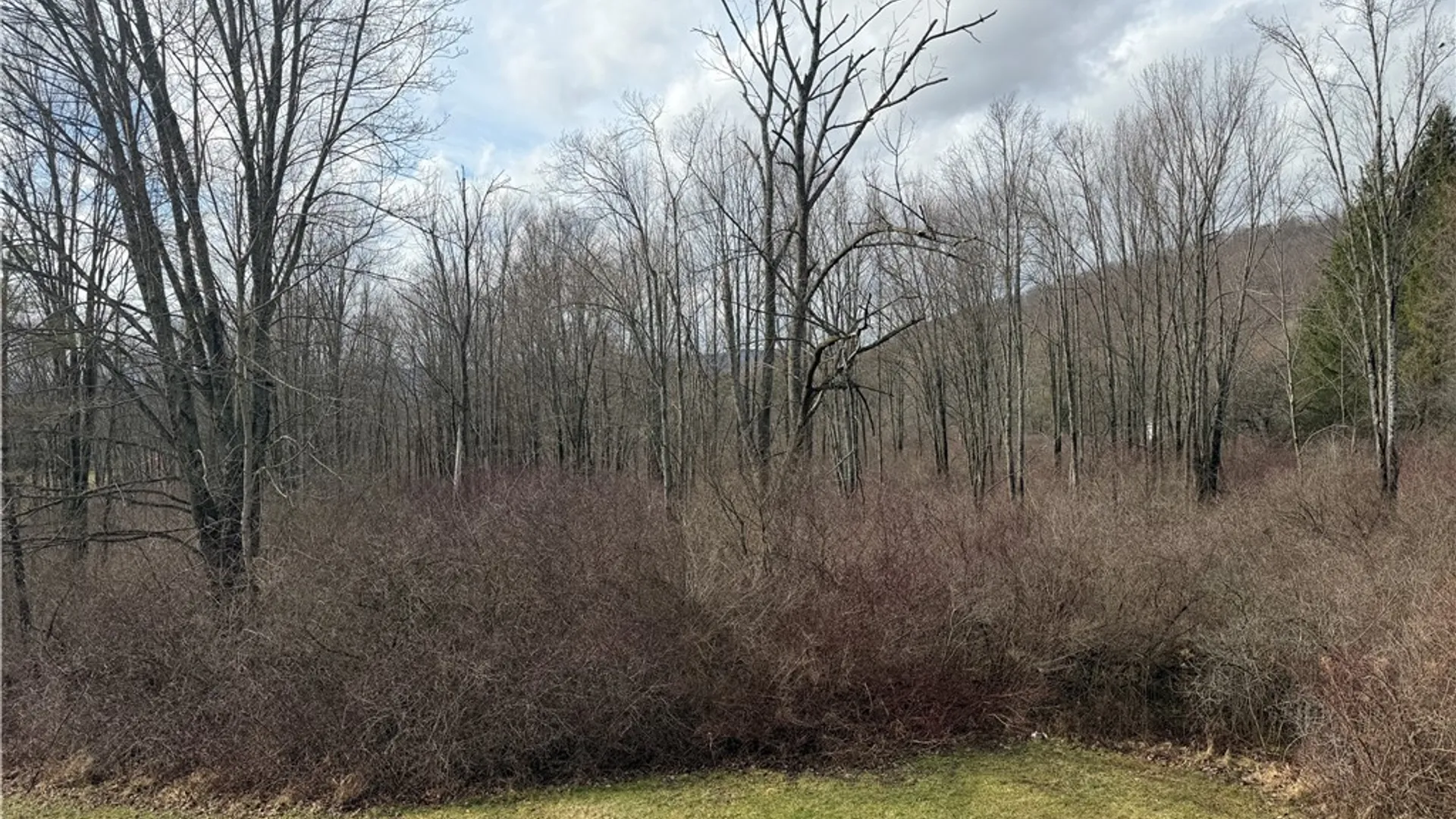 Property at 2279 Valley View Drive, Allegany, NY 14706 17