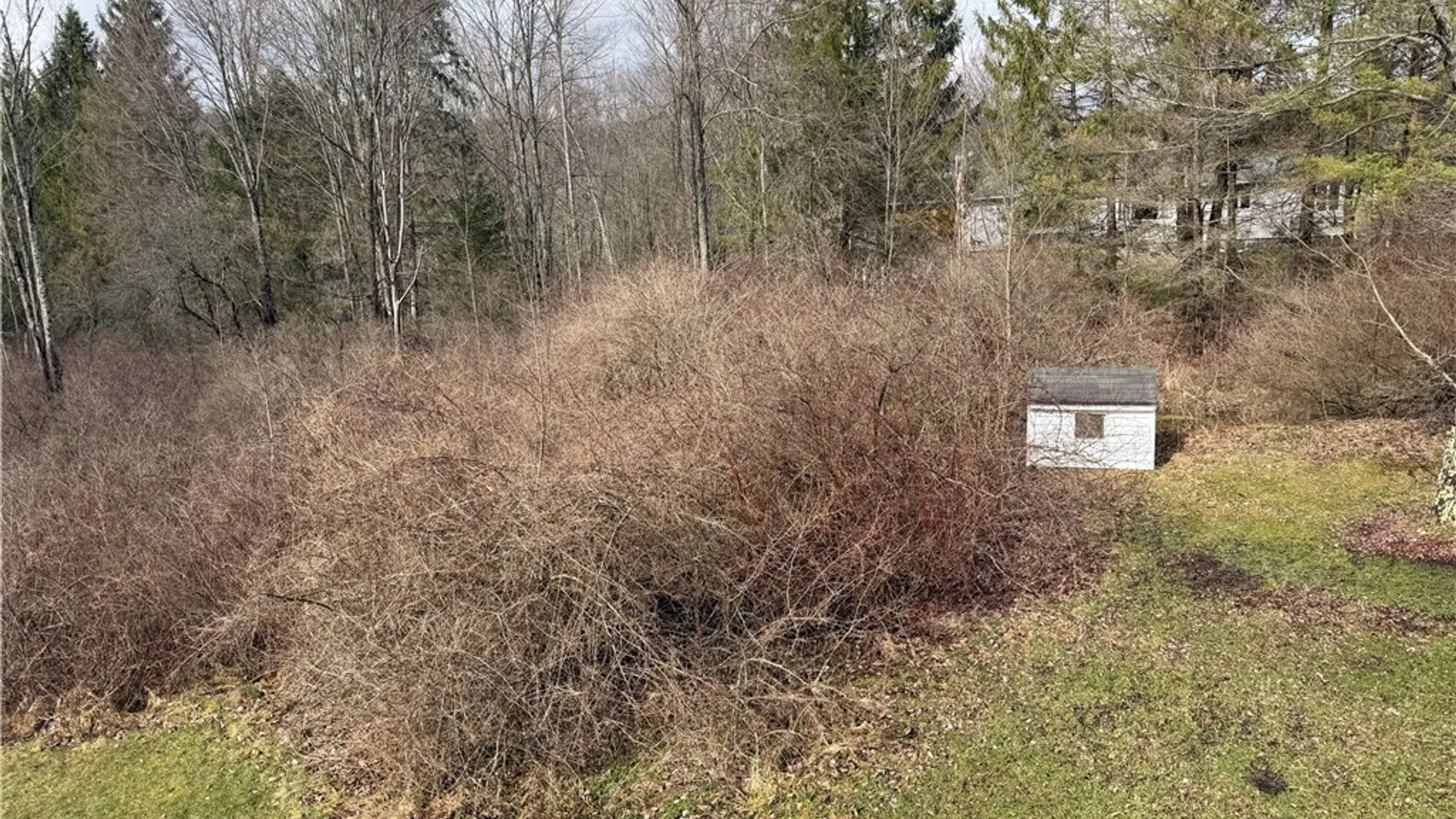 Property at 2279 Valley View Drive, Allegany, NY 14706 20
