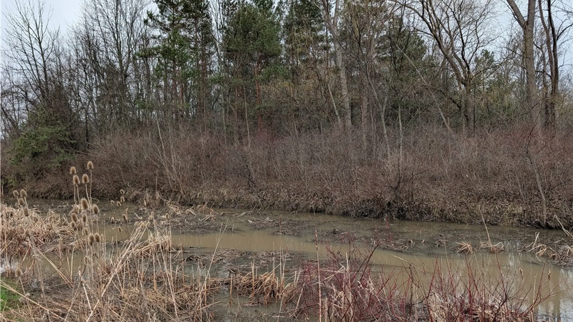 Property at Niag Falls Boulevard, Wheatfield, NY 14304 3