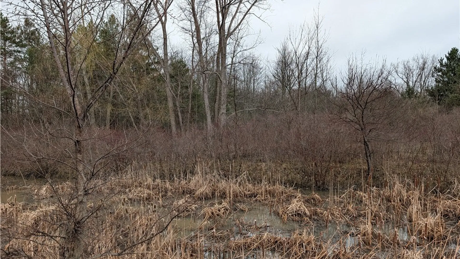 Property at Niag Falls Boulevard, Wheatfield, NY 14304 4