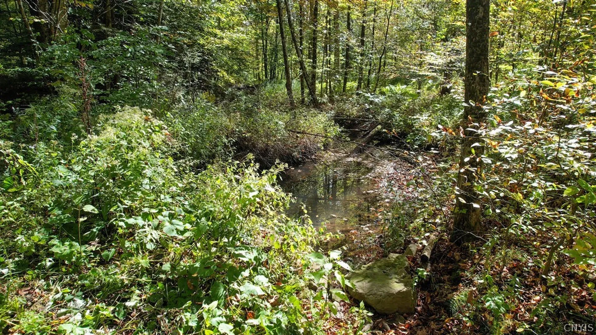 Property at 0 Gilbert Mills Road, Schroeppel, NY 13069 6