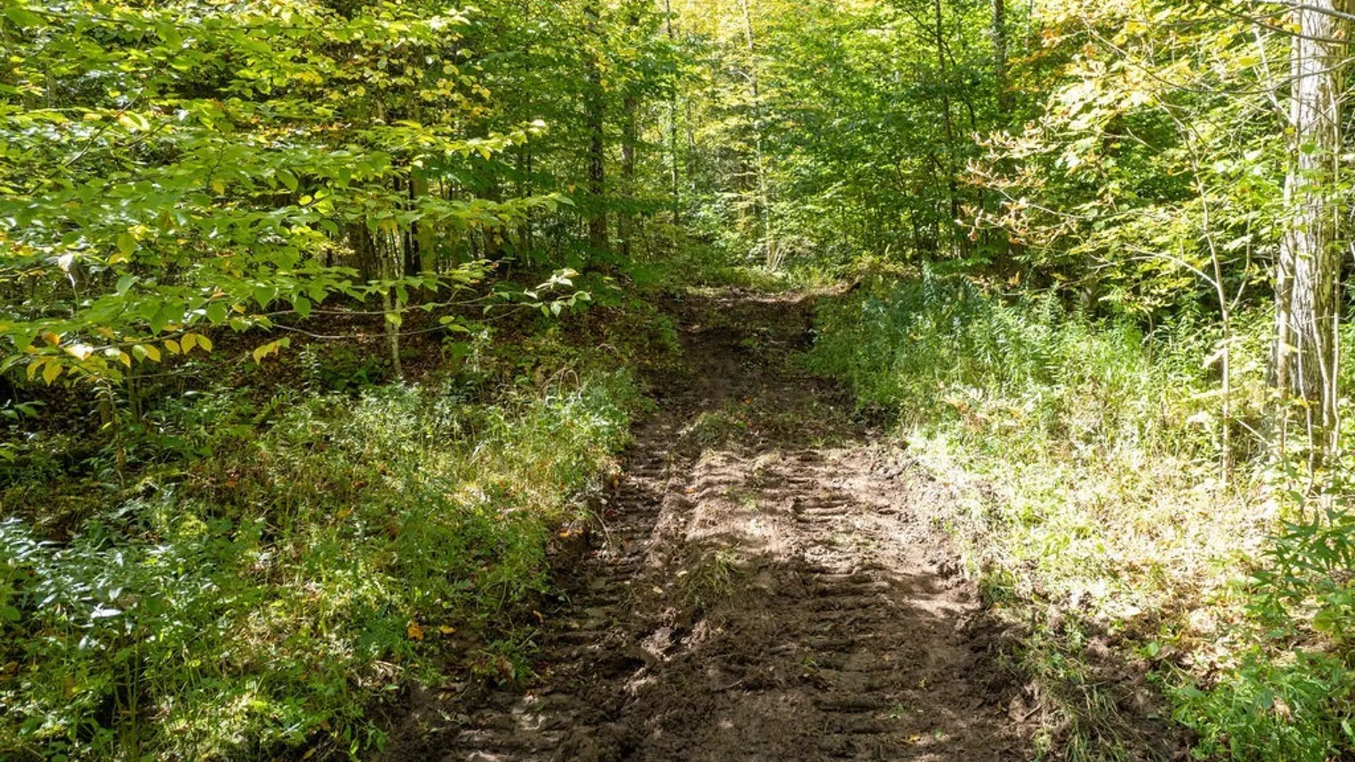 Property at 0 Gilbert Mills Road, Schroeppel, NY 13069 7