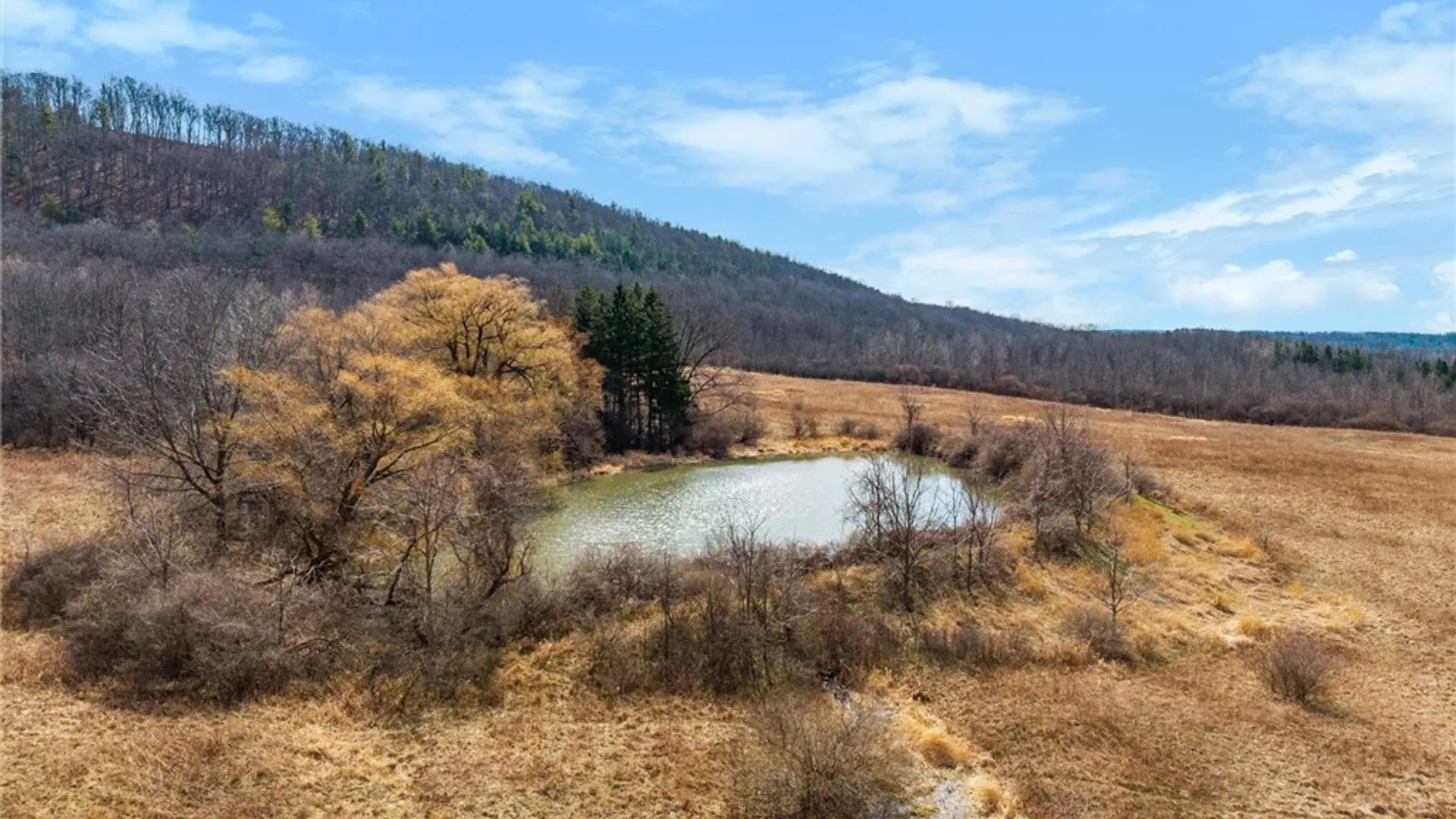 Property at 4408 State Route 414, Hector, NY 14818 36