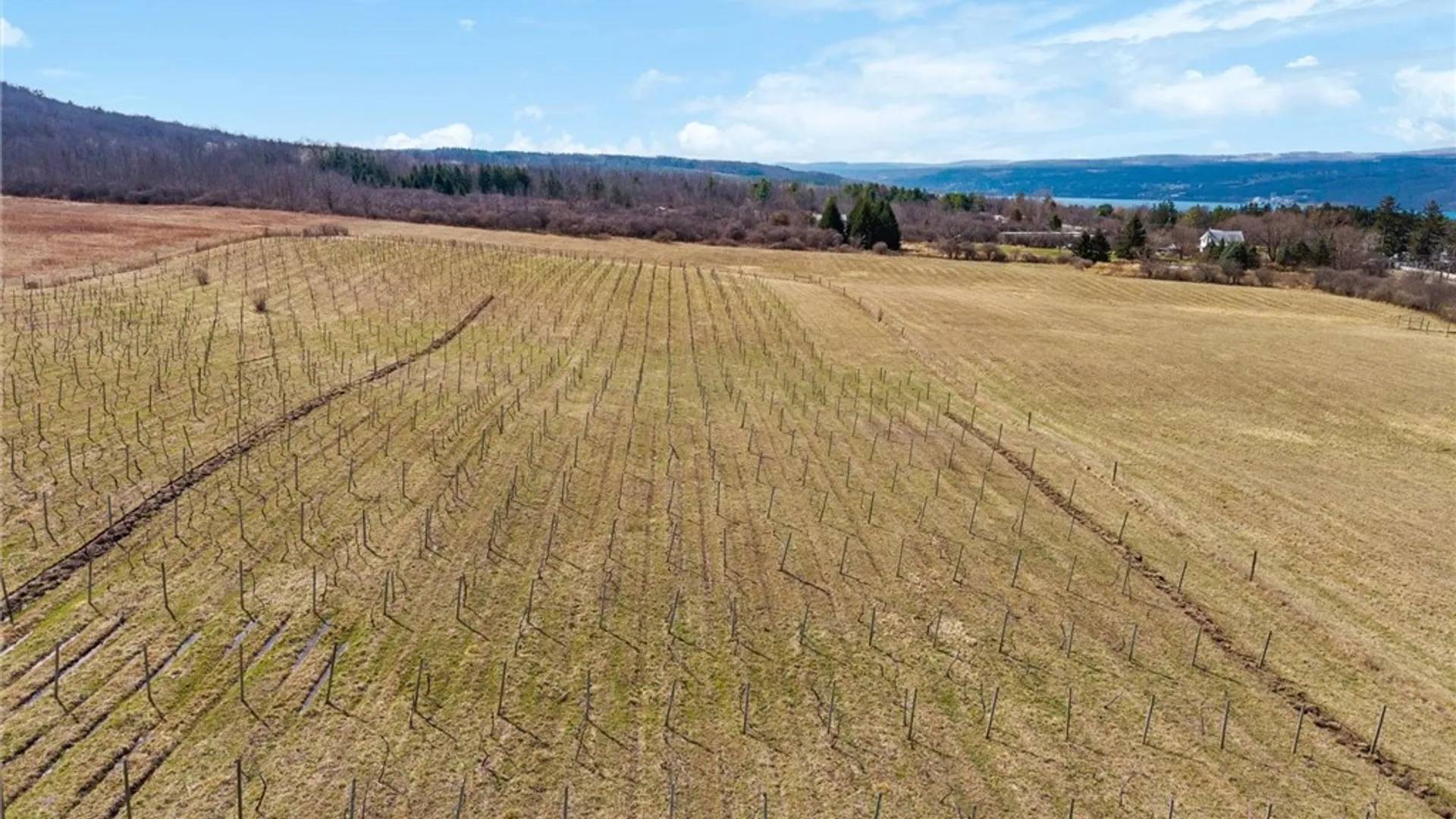 Property at 4408 State Route 414, Hector, NY 14818 37