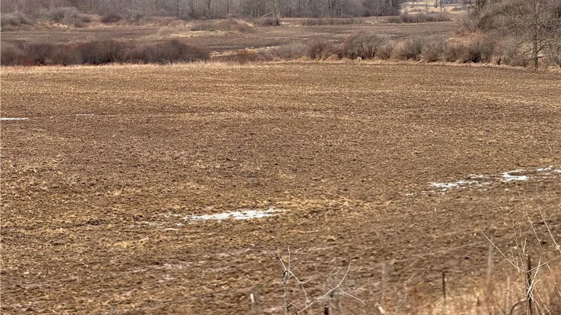 Property at Cr 12, Gouverneur, NY 13642 7