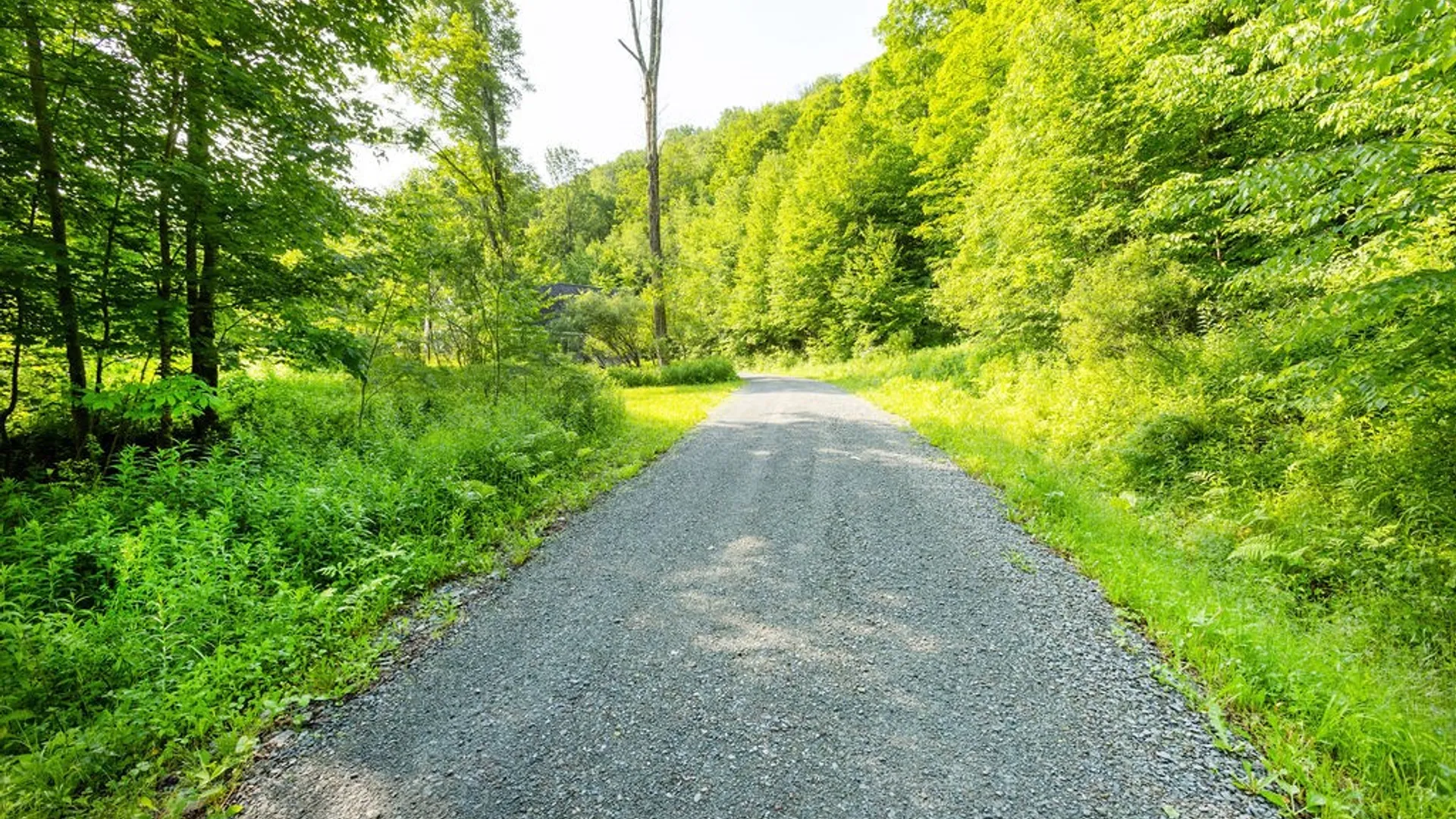 Property at 24780 State Highway 206, Colchester, NY 13755 45