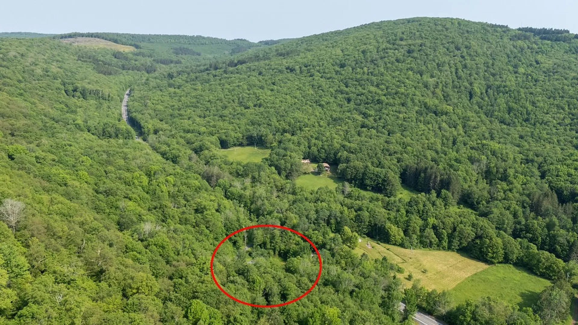 Property at 24780 State Highway 206, Colchester, NY 13755 46