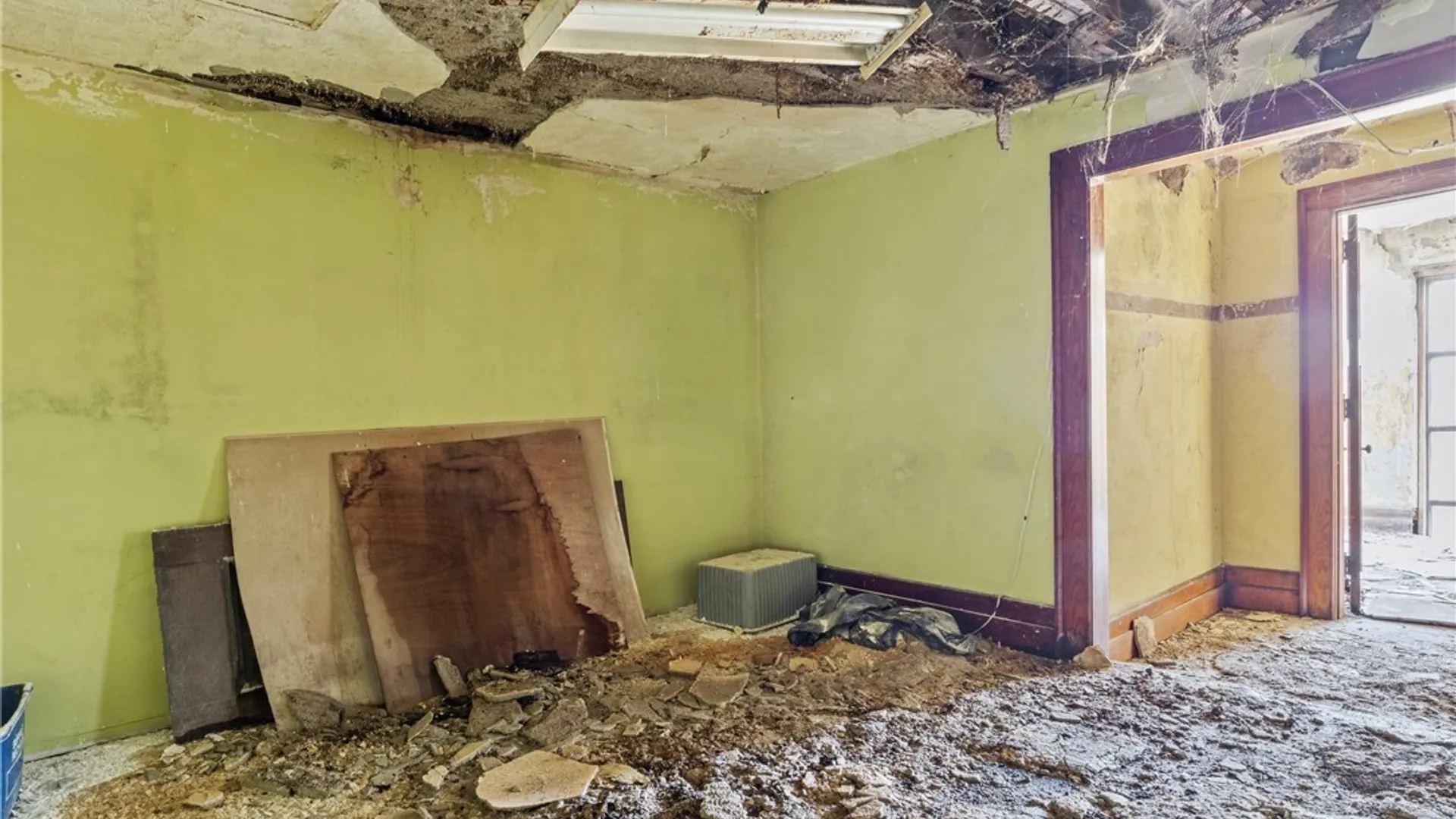 Property at 219 Ferry, Buffalo, NY 14213 17