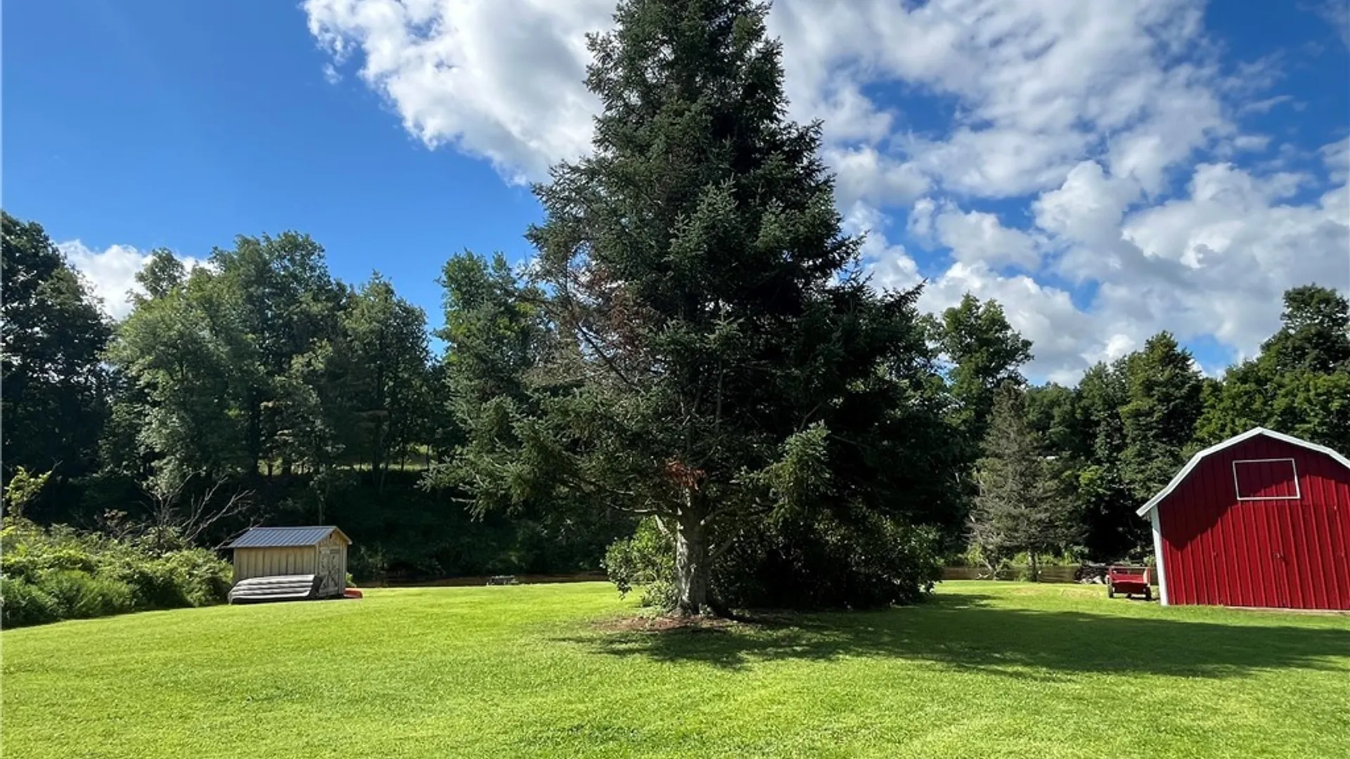 Property at 420 Island Branch Road, Fowler, NY 13642 2