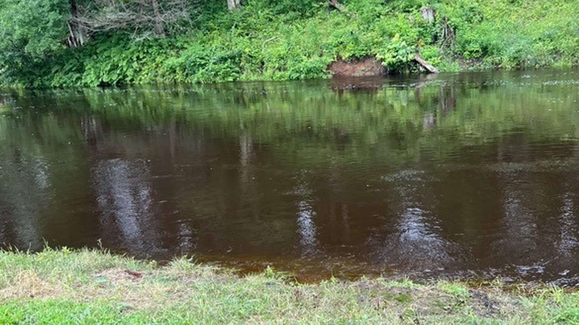Property at 420 Island Branch Road, Fowler, NY 13642 47