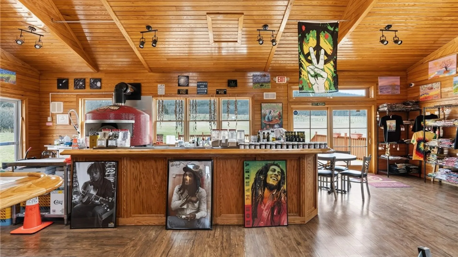 Property at 4408 State Route 414, Hector, NY 14818 5