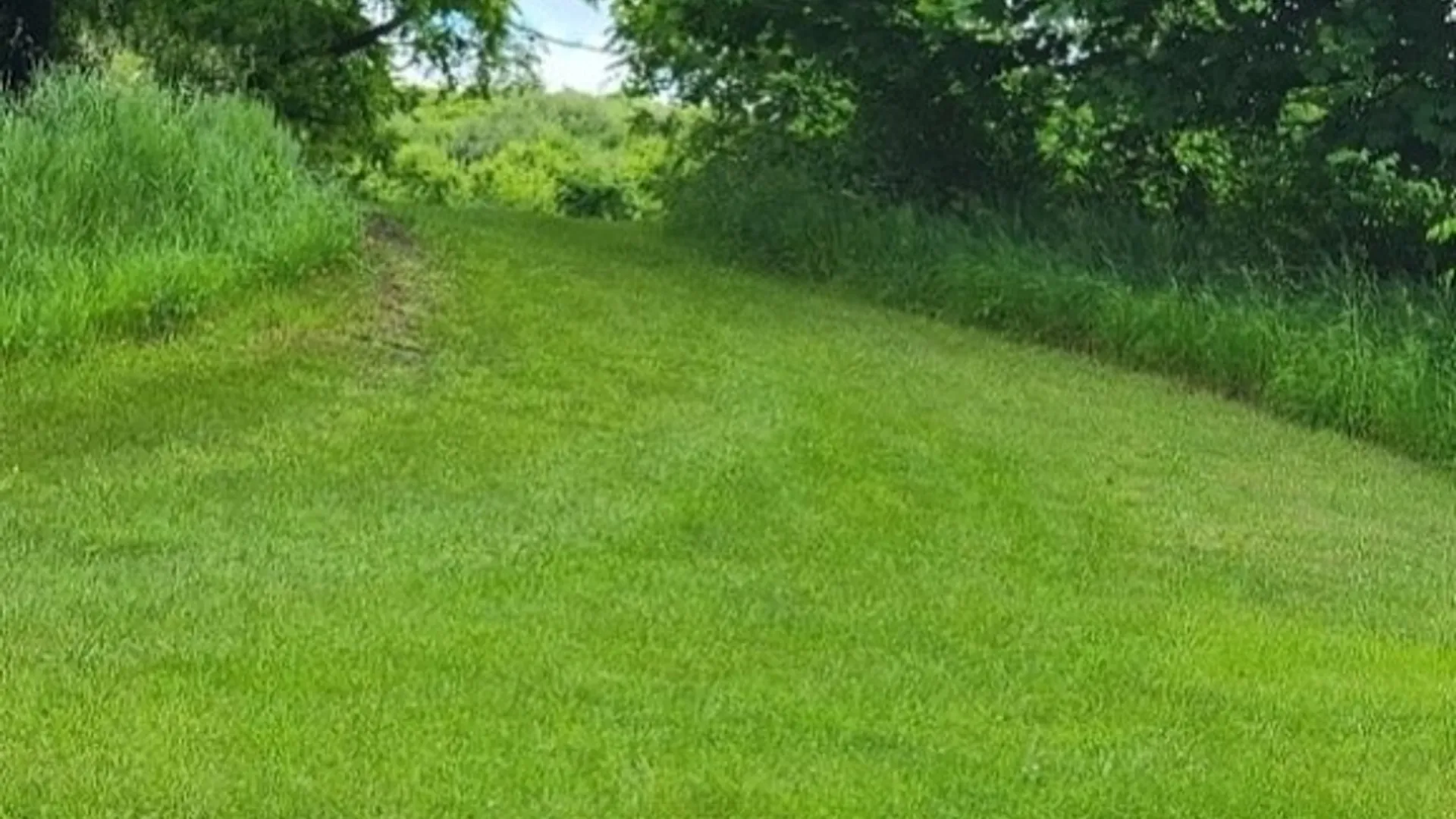 Property at 4966 State Route 414, Hector, NY 14818 2