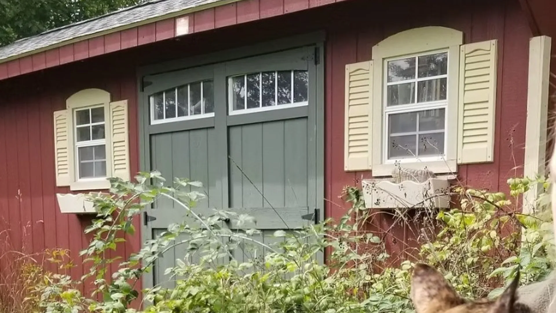 Property at 4966 State Route 414, Hector, NY 14818 22