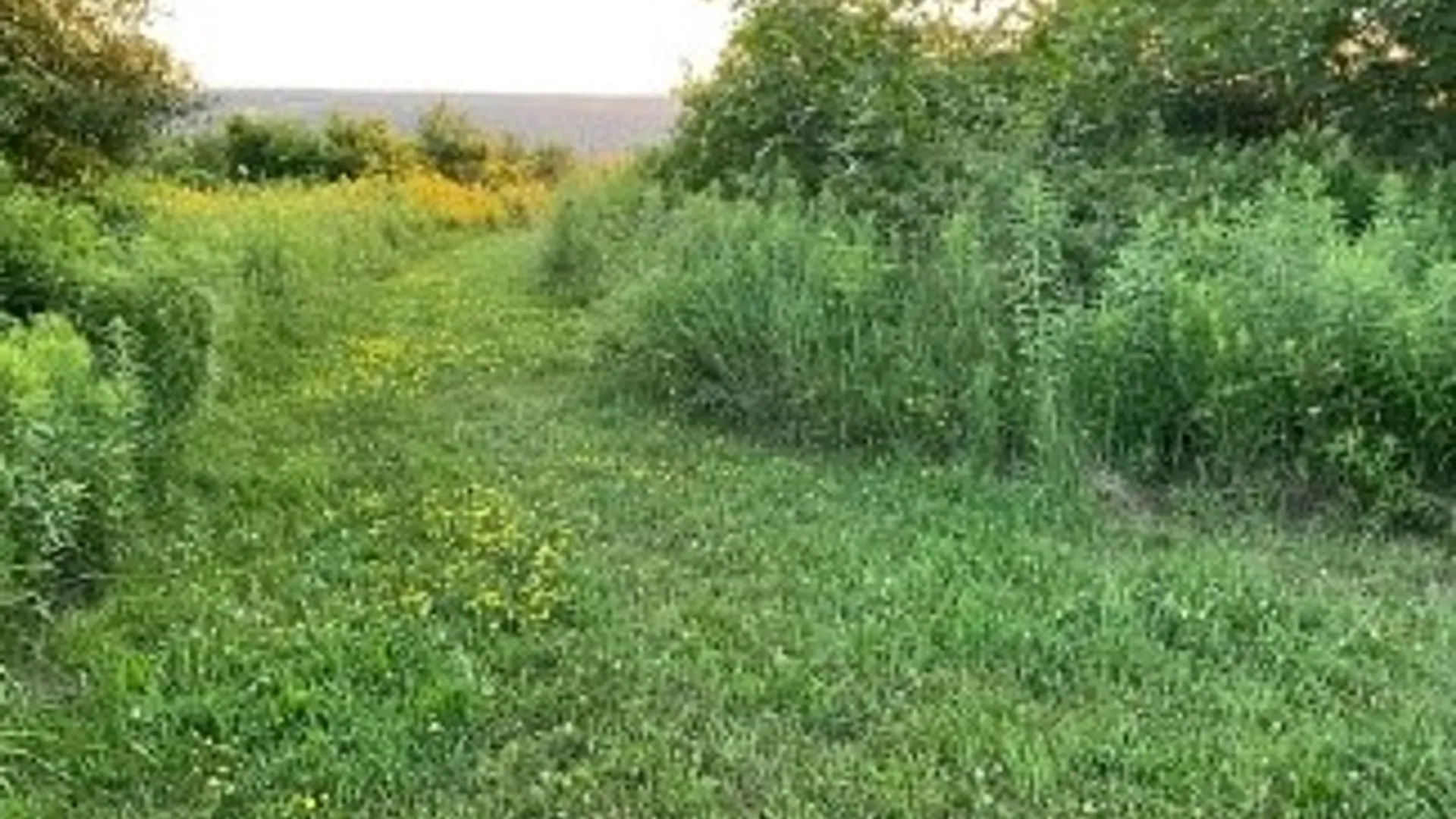 Property at 4966 State Route 414, Hector, NY 14818 25