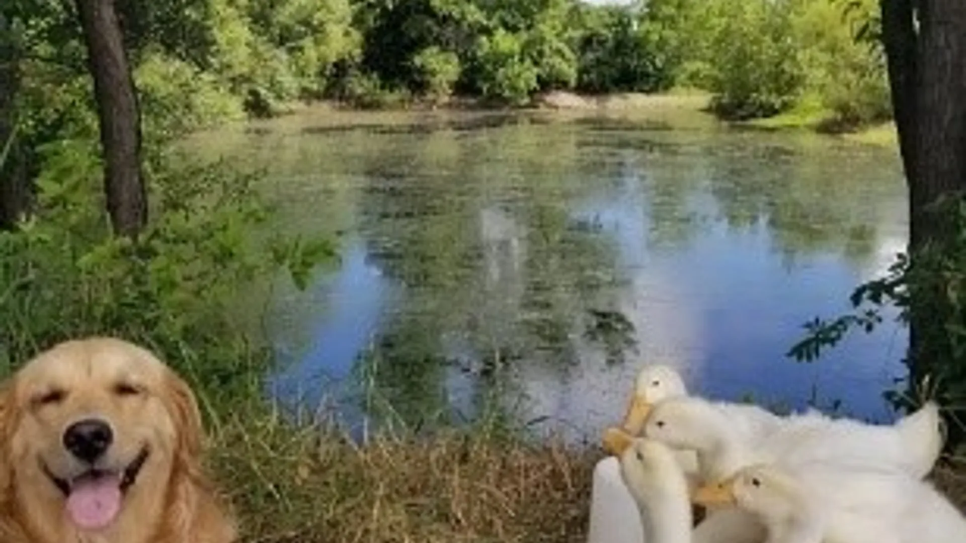 Property at 4966 State Route 414, Hector, NY 14818 26