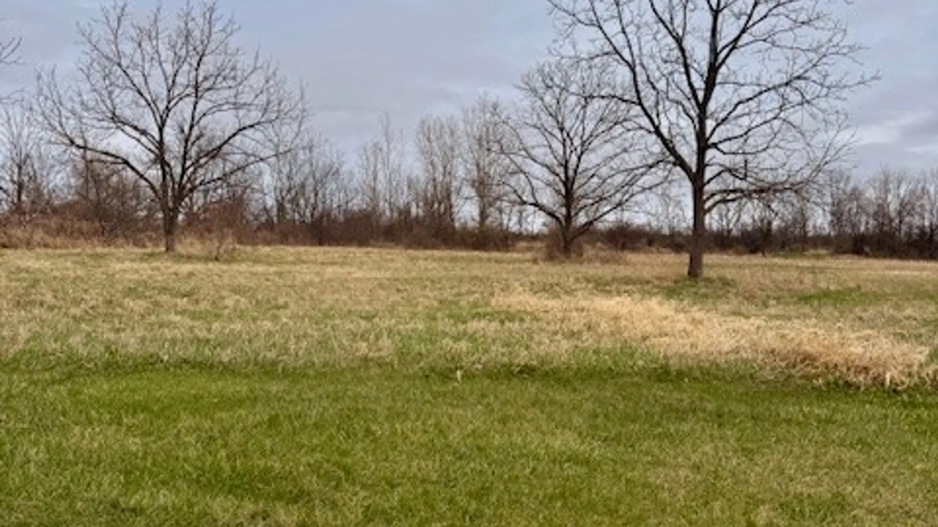 Property at 4966 State Route 414, Hector, NY 14818 38