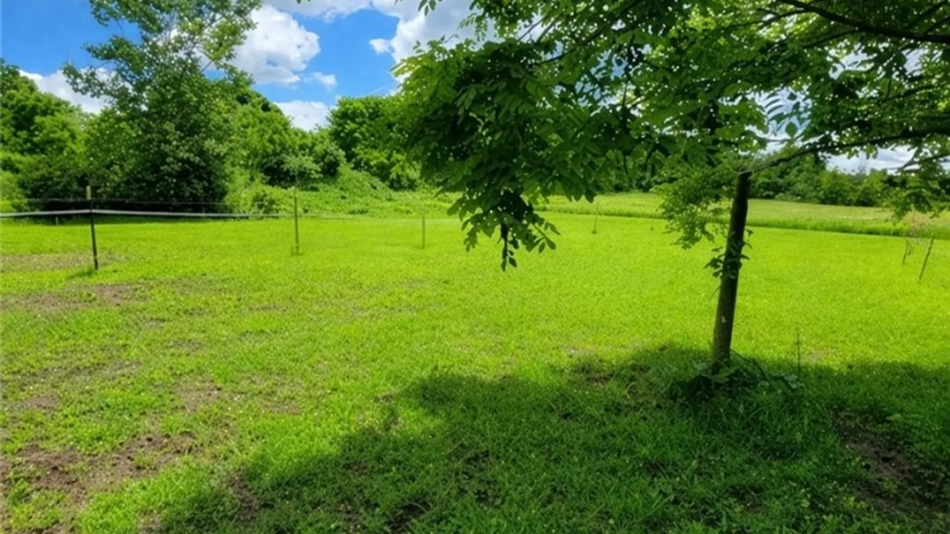 Property at 4966 State Route 414, Hector, NY 14818 5