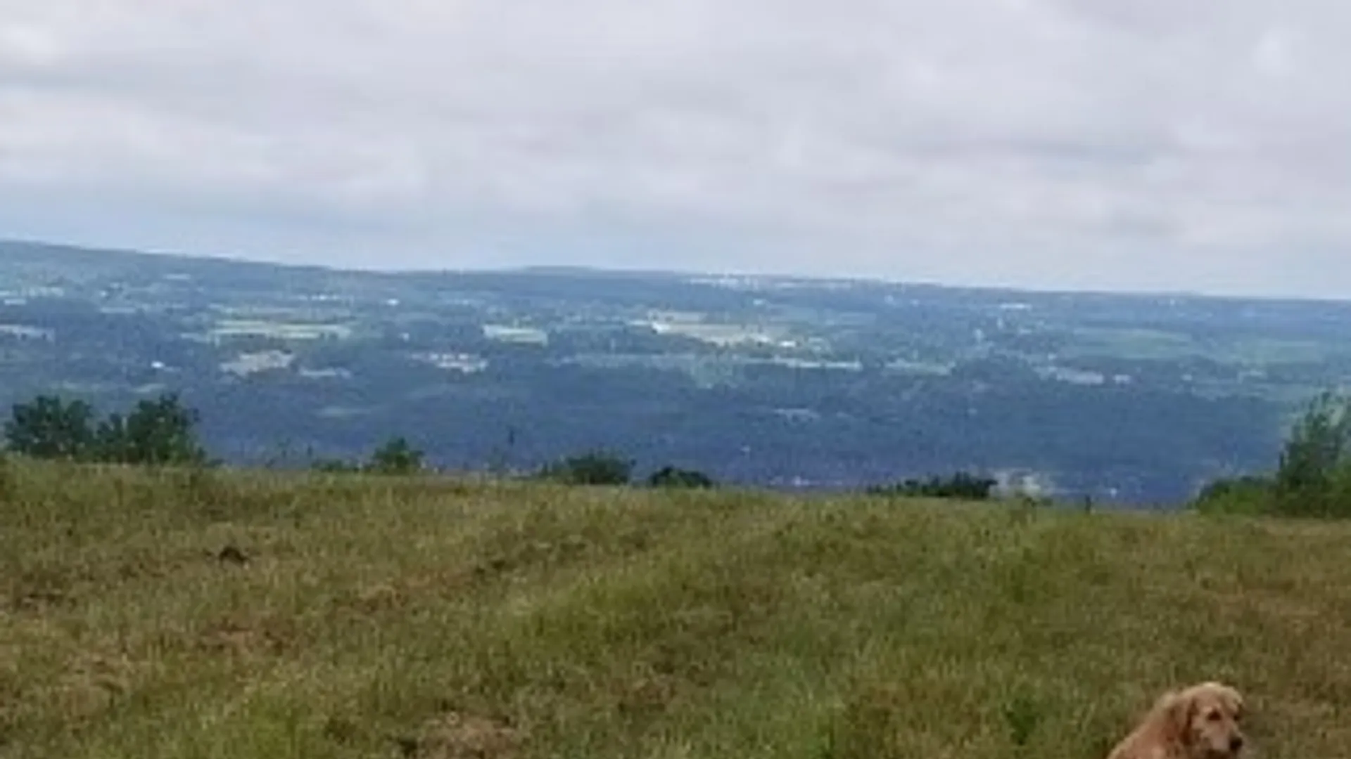 Property at 4966 State Route 414, Hector, NY 14818 7