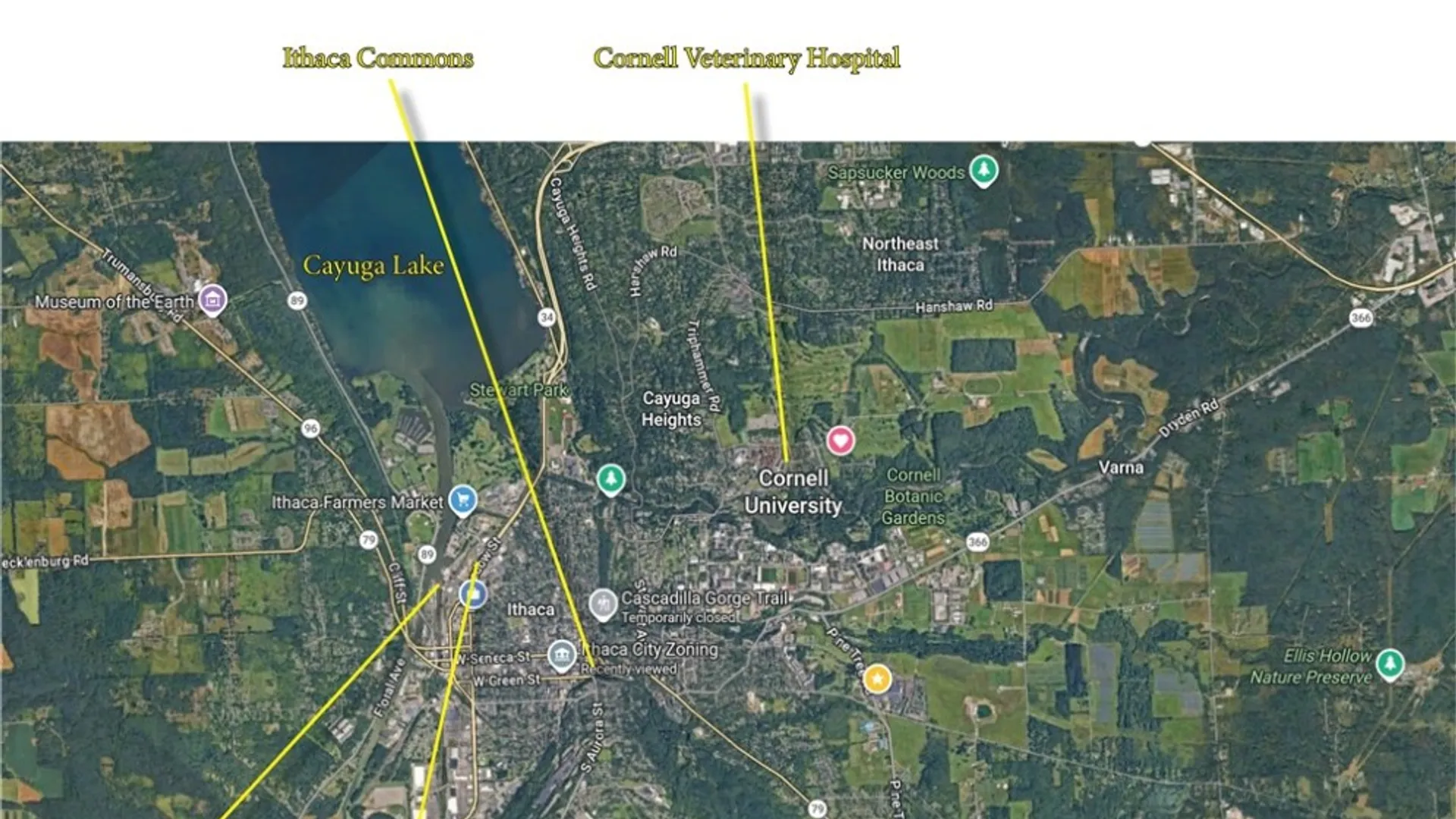 Property at 798 Cascadilla Street, Ithaca City, NY 14850 42