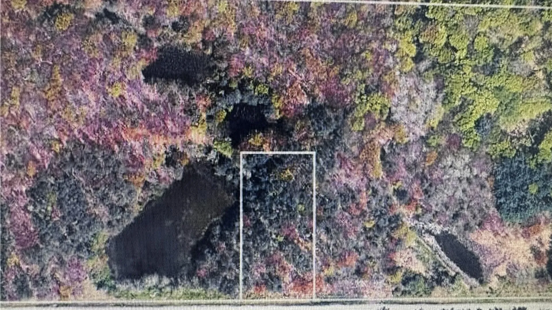 Property at 0 Shero Road, Boston, NY 14025 2