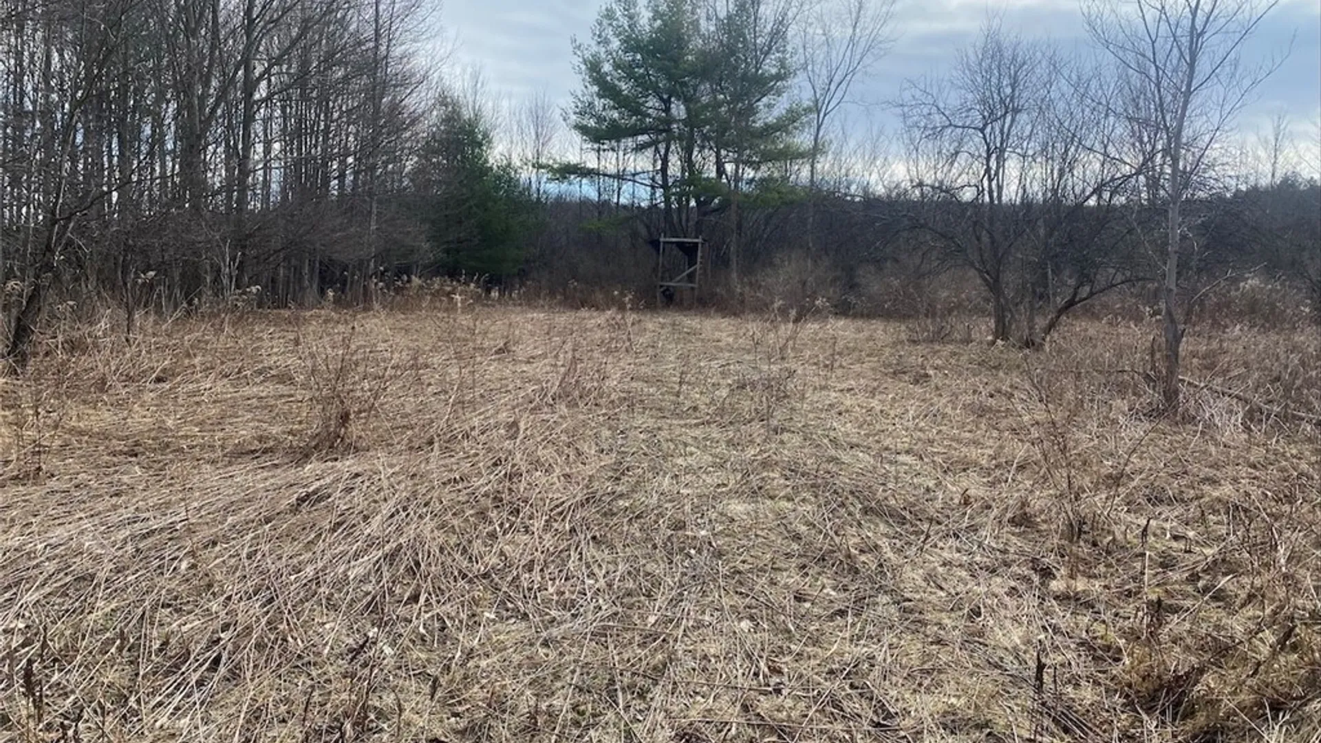 Property at 4005 Cr-2, Angelica, NY 14709 10