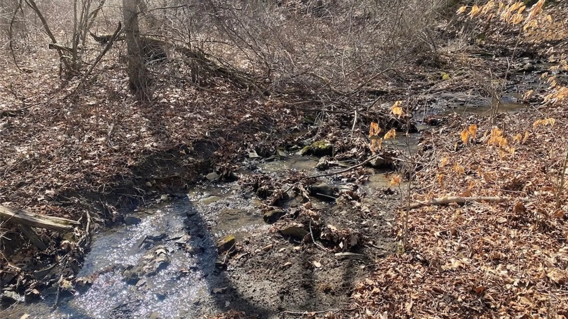 Property at 4005 Cr-2, Angelica, NY 14709 12