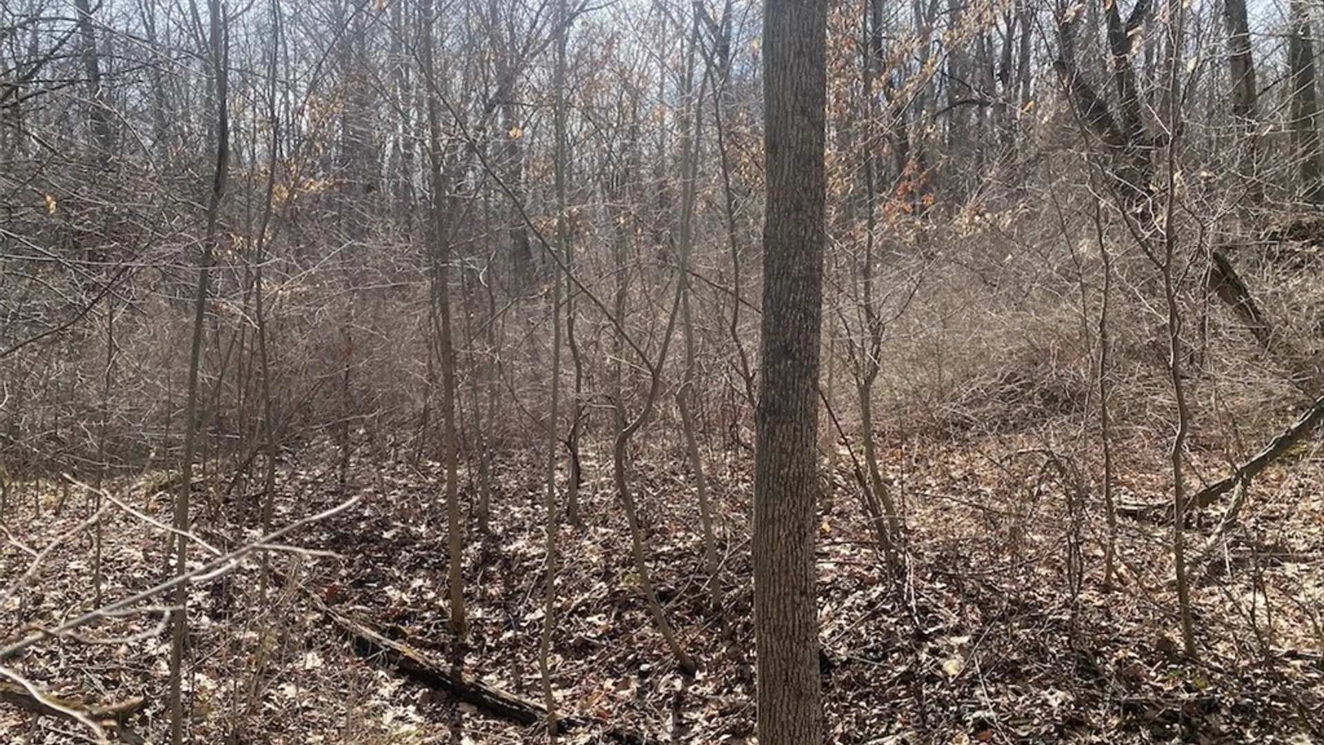 Property at 4005 Cr-2, Angelica, NY 14709 13