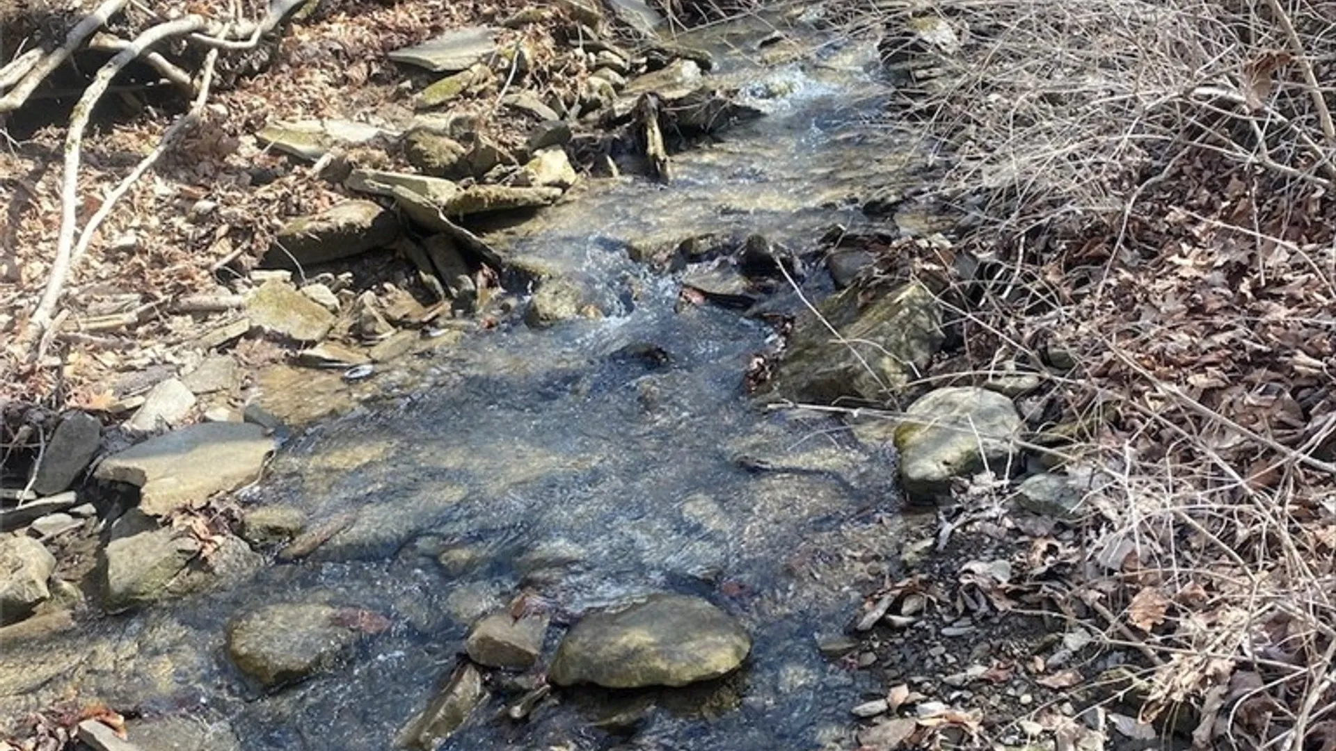 Property at 4005 Cr-2, Angelica, NY 14709 14