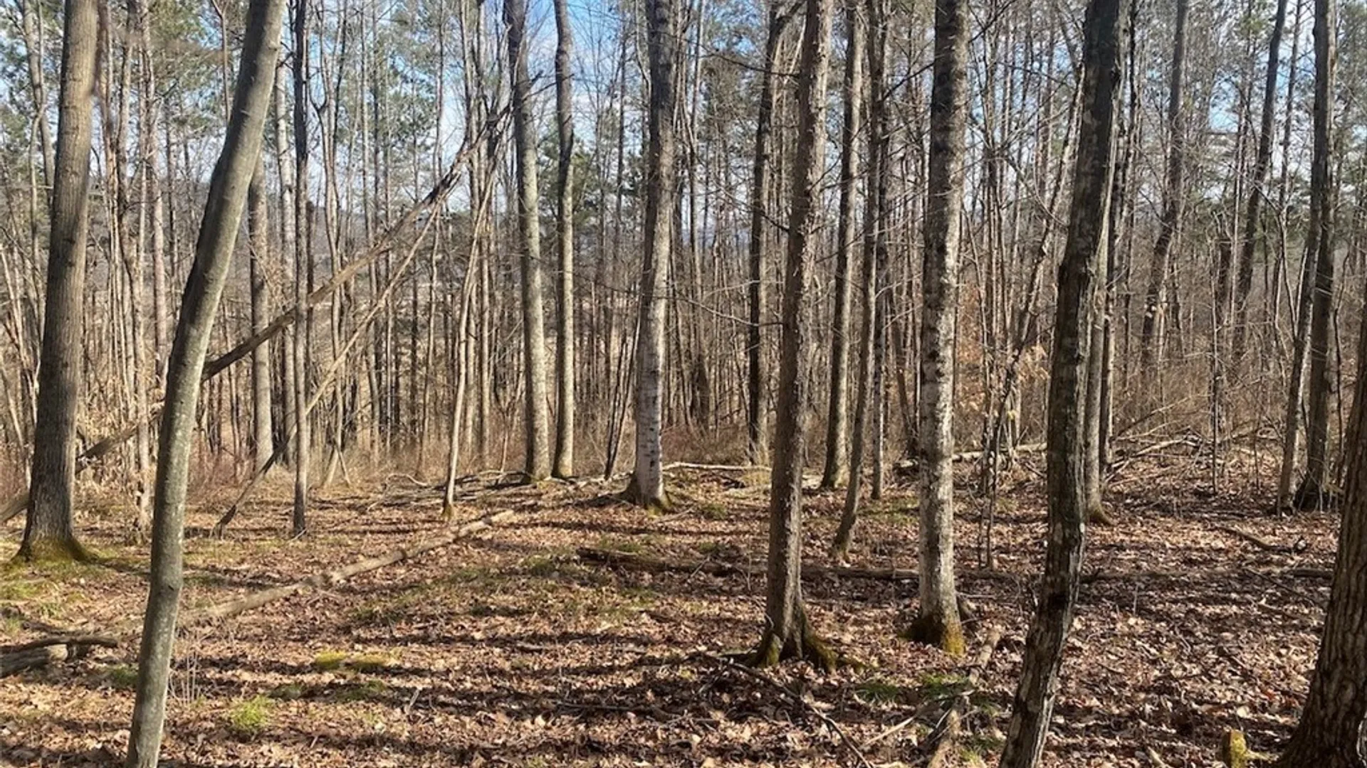 Property at 4005 Cr-2, Angelica, NY 14709 17