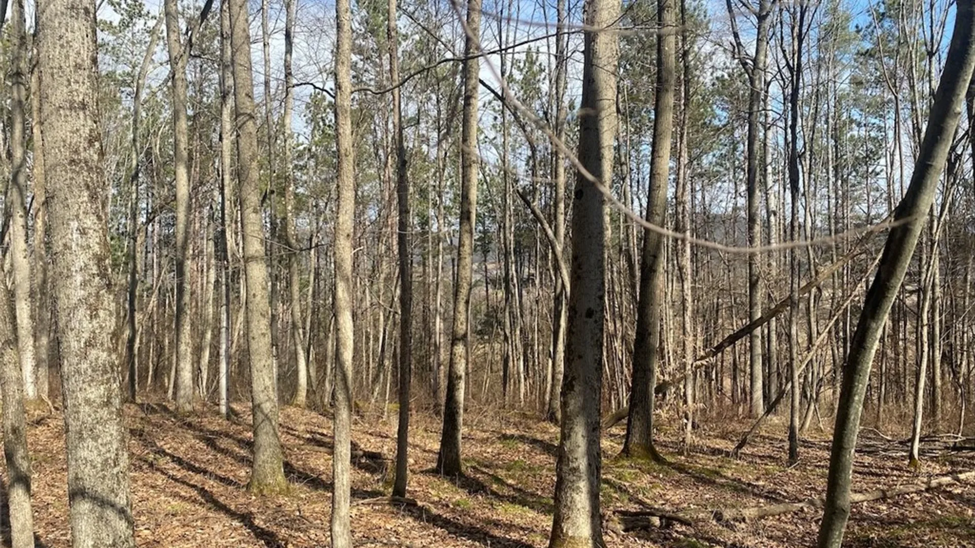 Property at 4005 Cr-2, Angelica, NY 14709 18