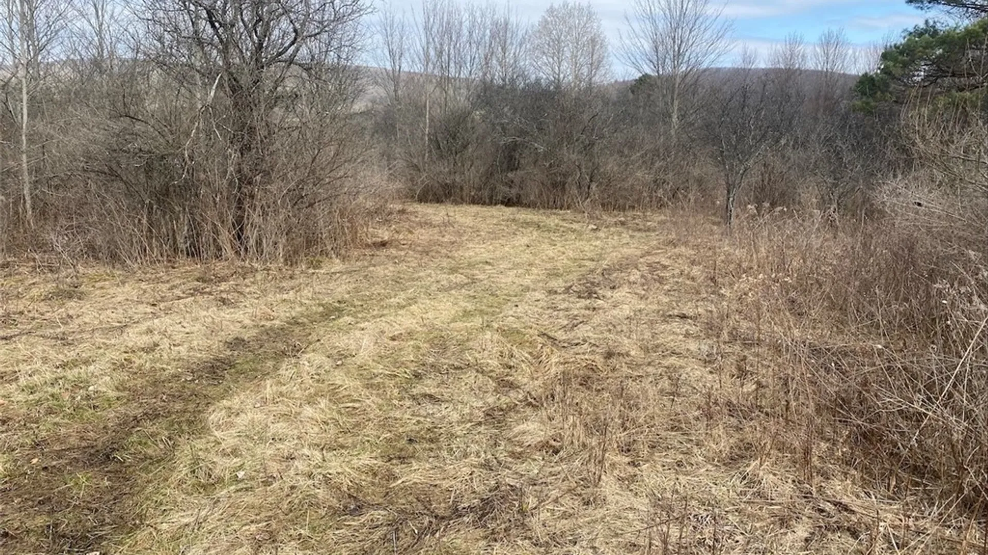 Property at 4005 Cr-2, Angelica, NY 14709 19