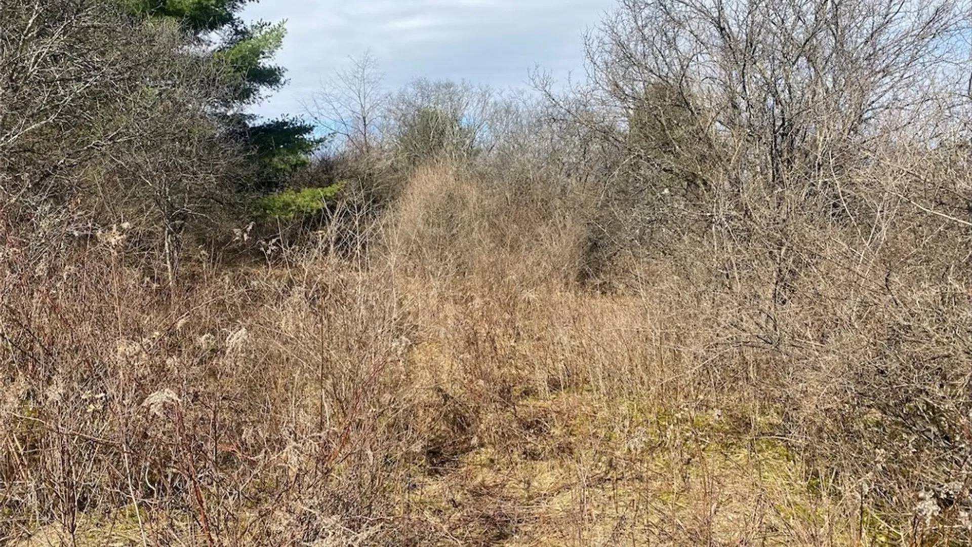 Property at 4005 Cr-2, Angelica, NY 14709 20