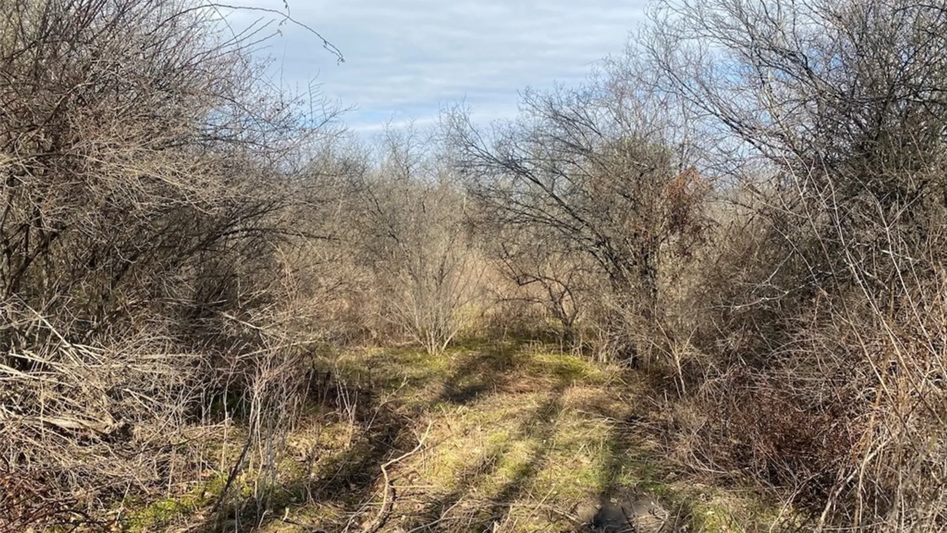 Property at 4005 Cr-2, Angelica, NY 14709 21