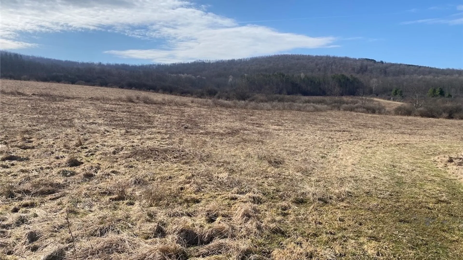 Property at 4005 Cr-2, Angelica, NY 14709 6