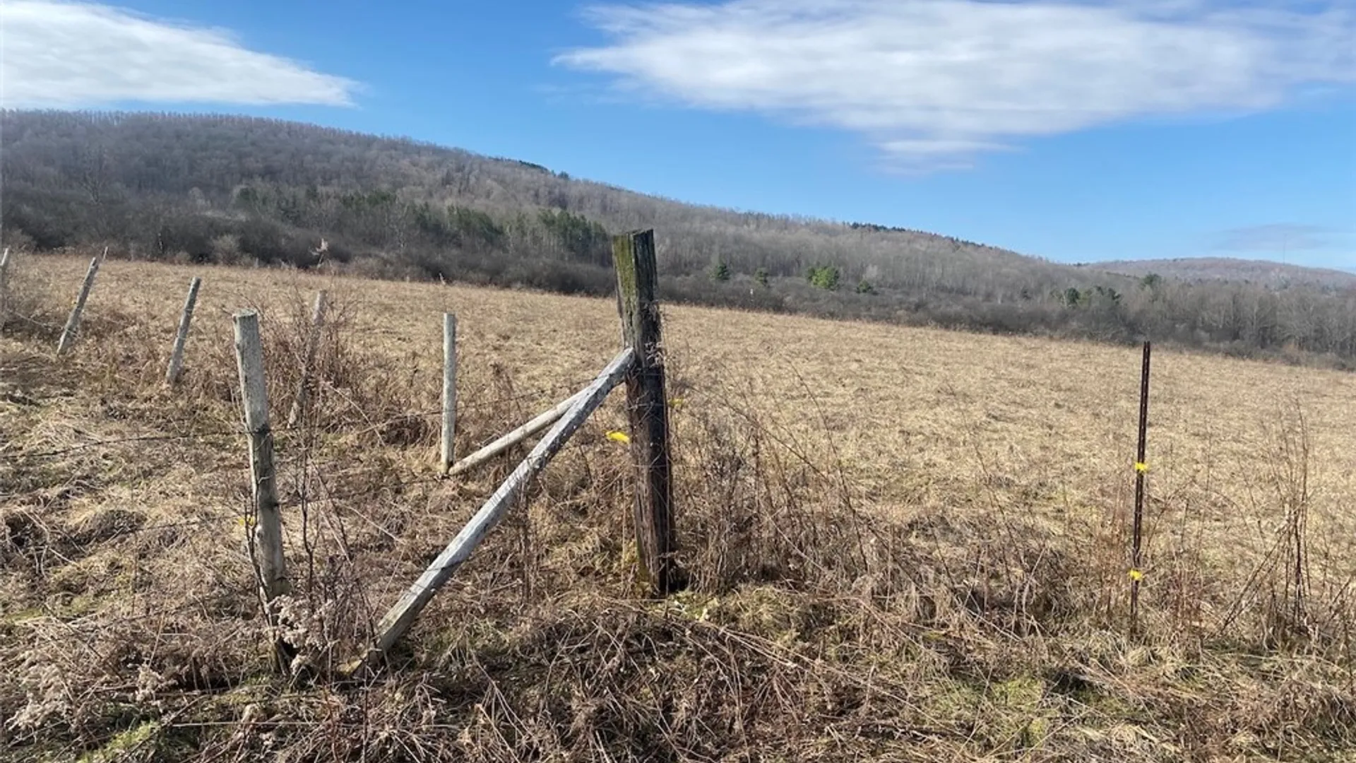 Property at 4005 Cr-2, Angelica, NY 14709 7