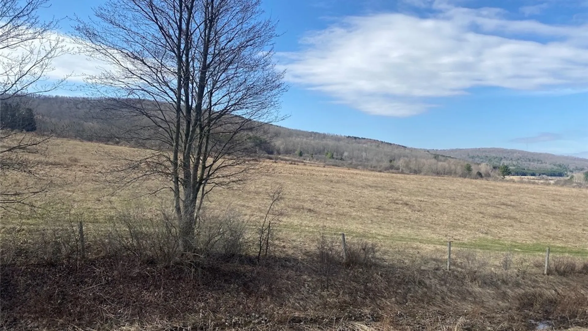 Property at 4005 Cr-2, Angelica, NY 14709 8