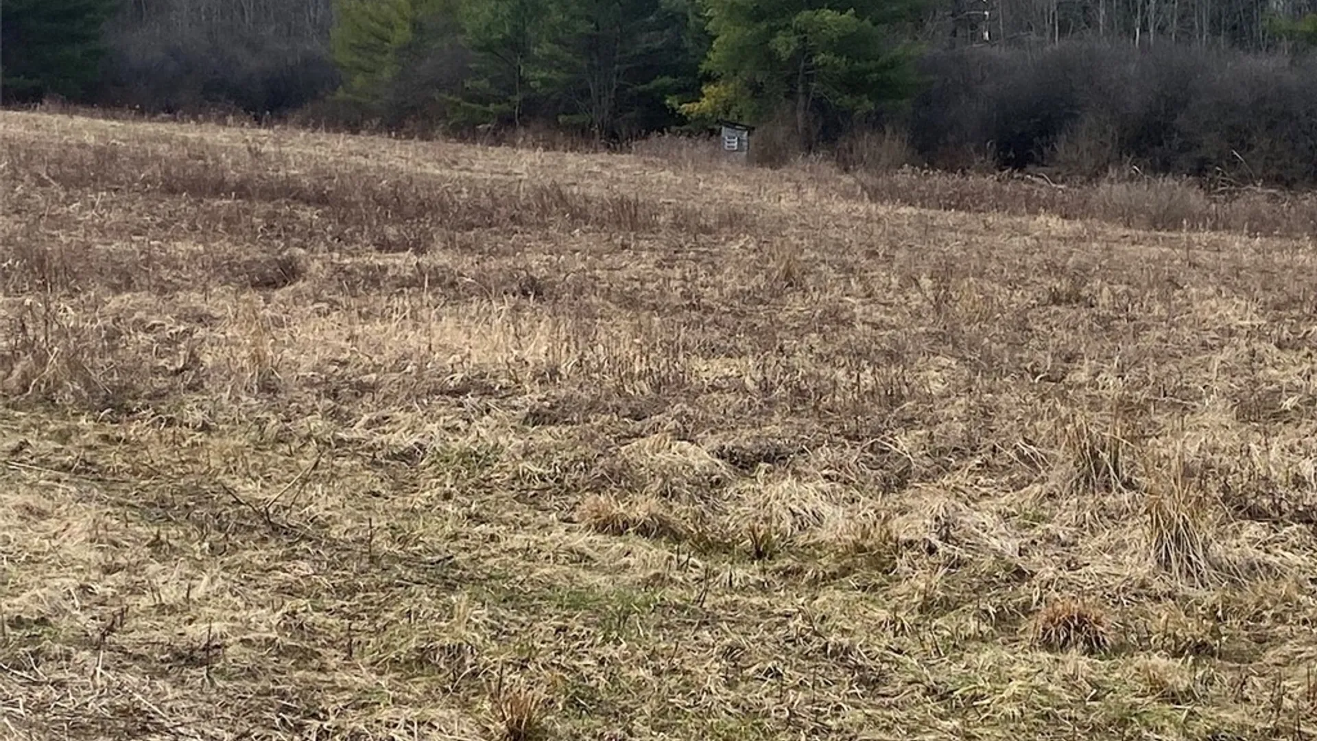 Property at 4005 Cr-2, Angelica, NY 14709 9