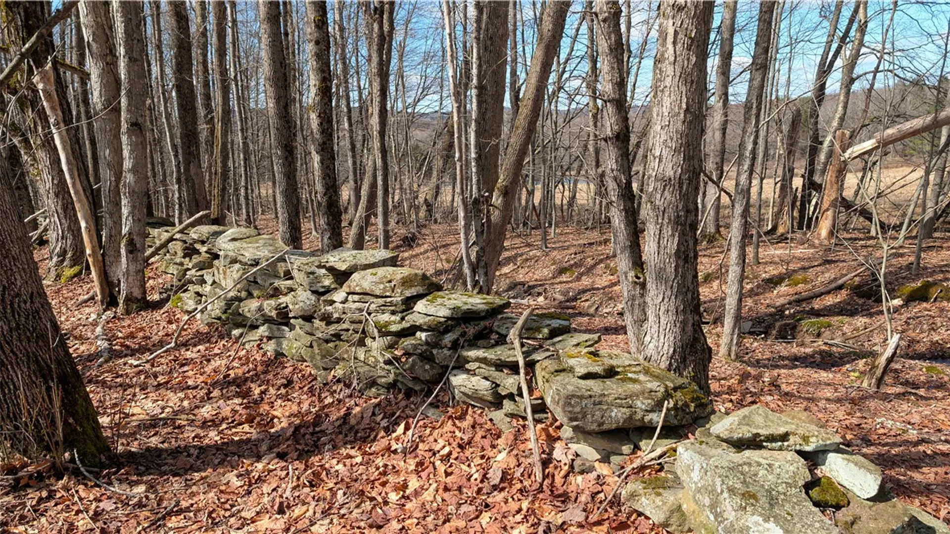 Property at 858 Randall Hill Road, Masonville, NY 13839 42