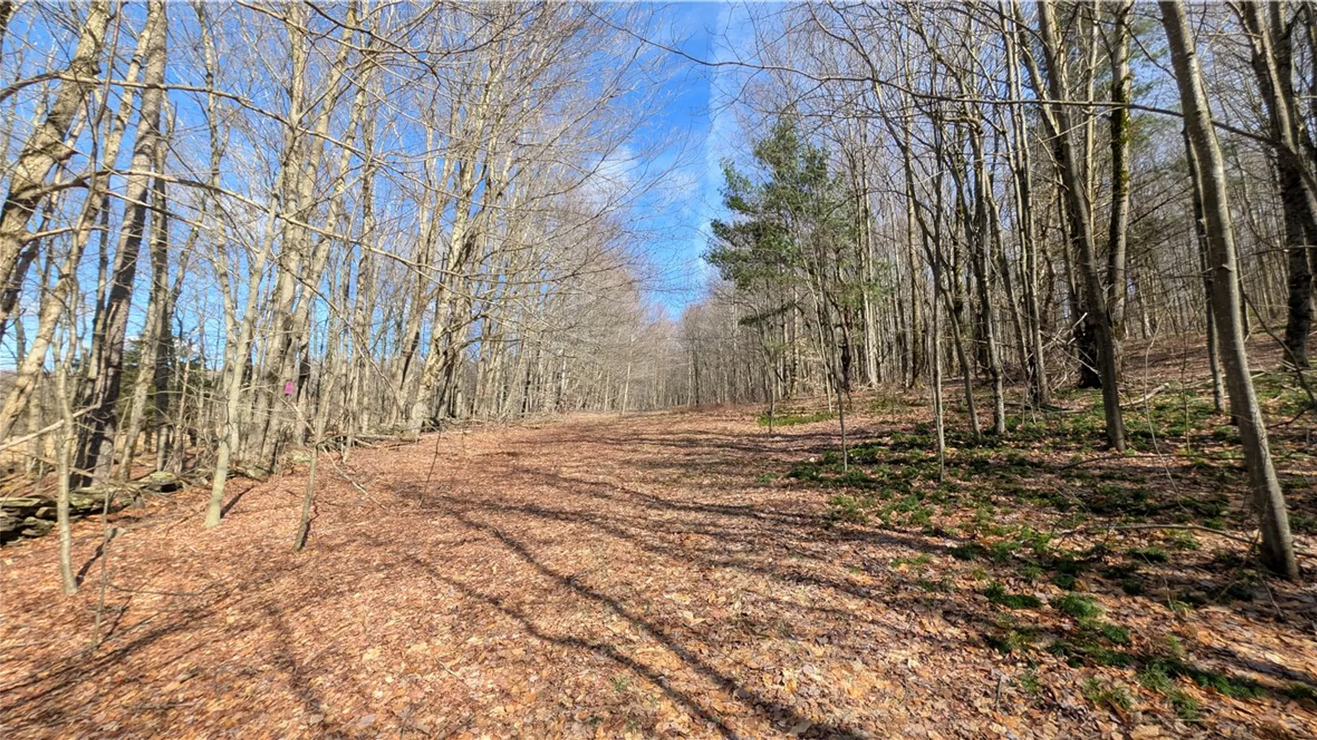 Property at 858 Randall Hill Road, Masonville, NY 13839 43