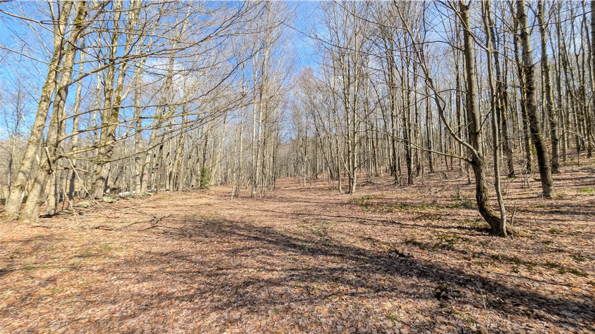 Property at 858 Randall Hill Road, Masonville, NY 13839 44