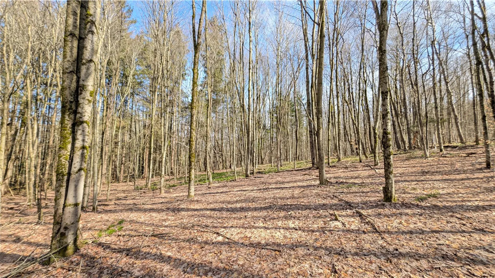 Property at 858 Randall Hill Road, Masonville, NY 13839 45