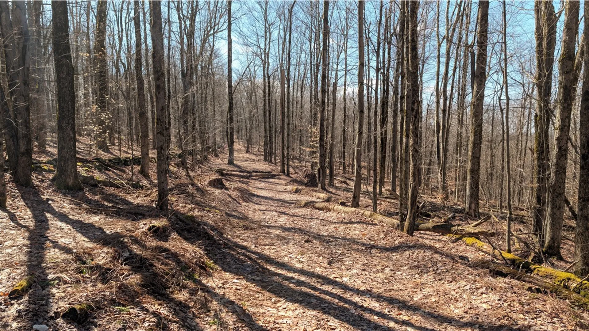 Property at 858 Randall Hill Road, Masonville, NY 13839 46