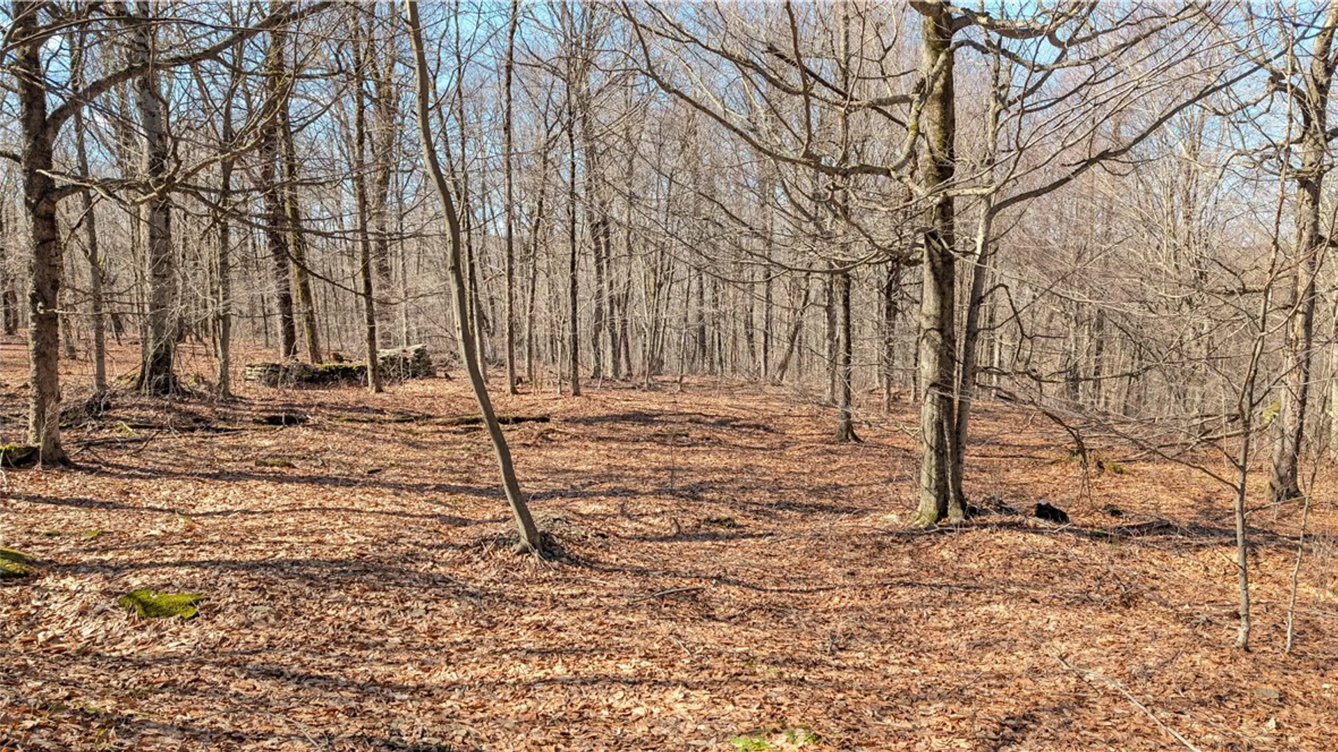 Property at 858 Randall Hill Road, Masonville, NY 13839 47