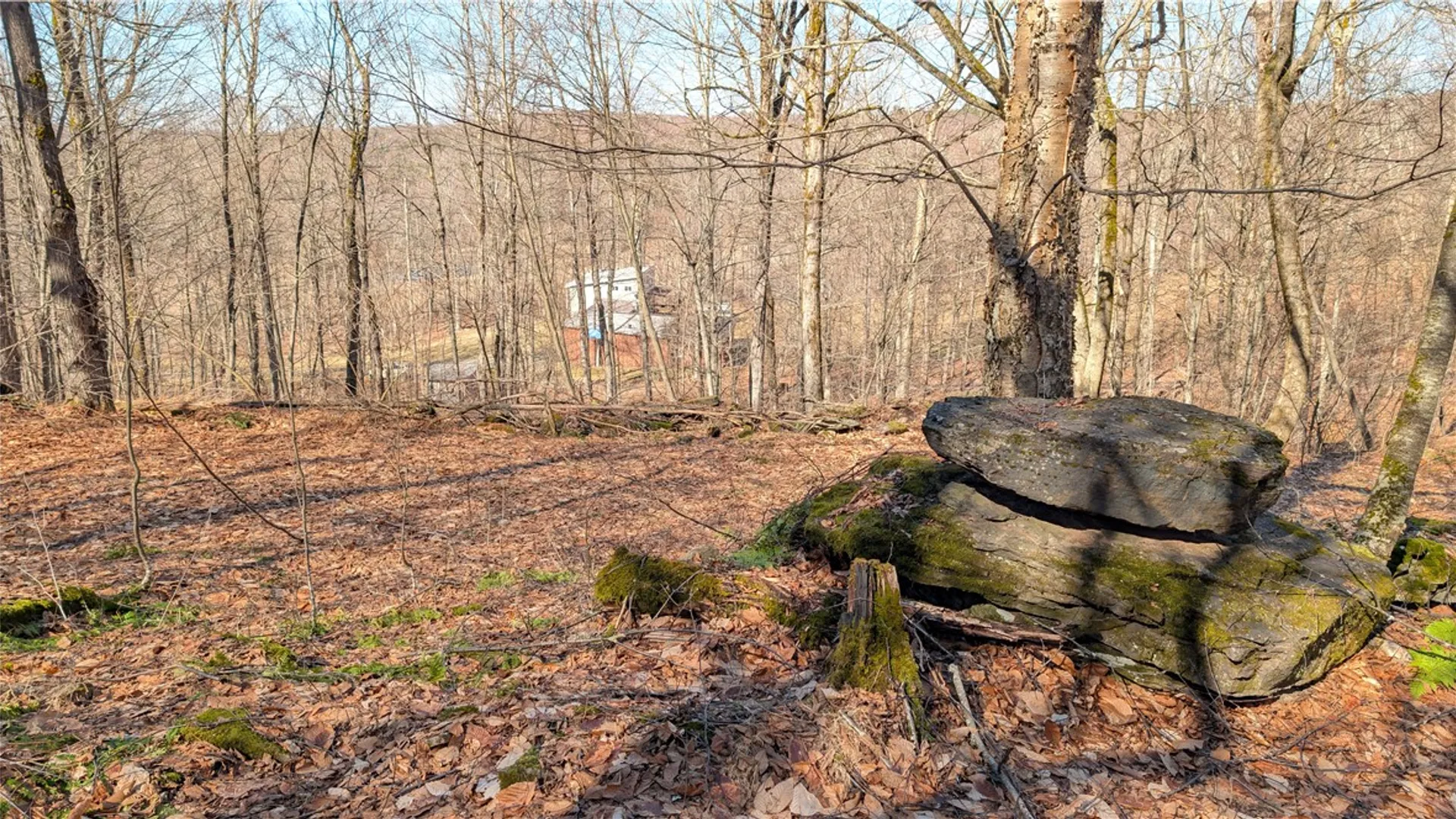 Property at 858 Randall Hill Road, Masonville, NY 13839 48