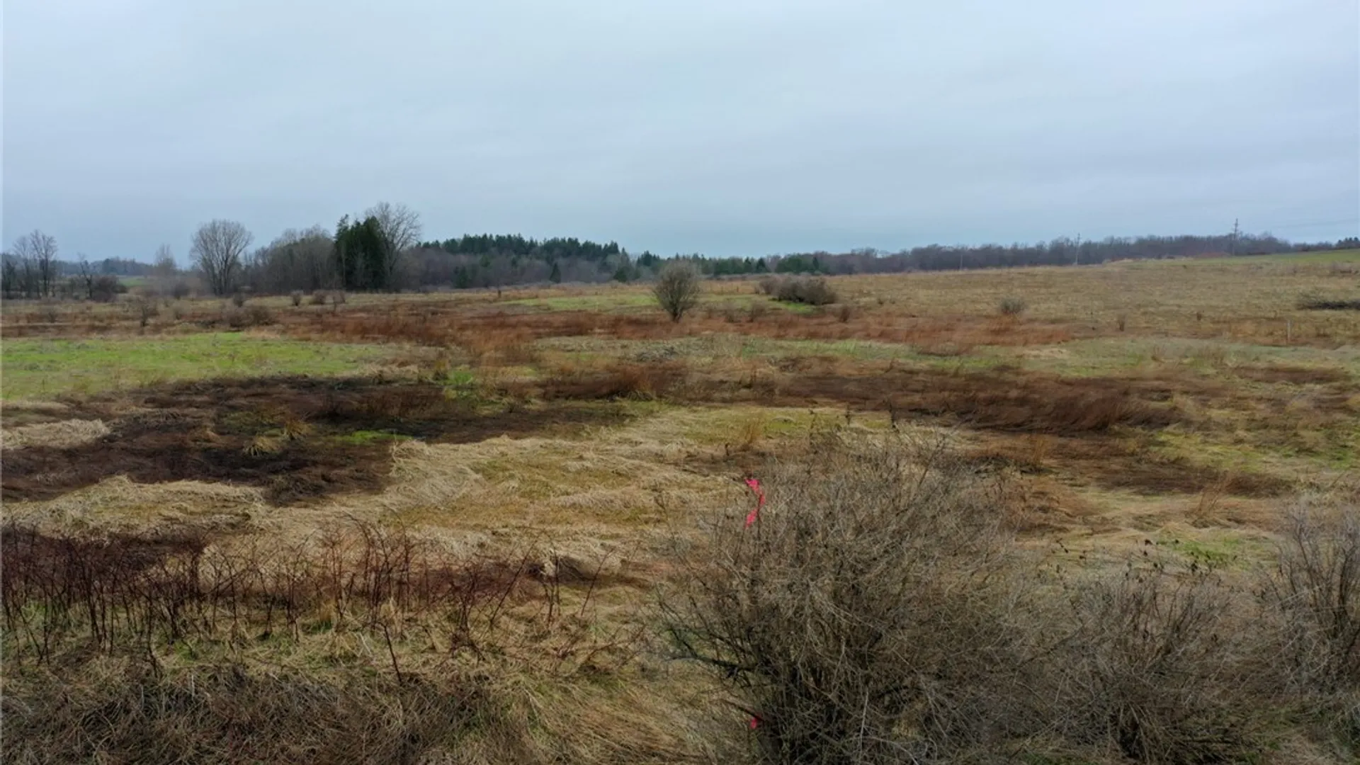 Property at 0 Alleghany Road, Bennington, NY 14011 11