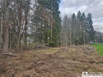 1815 Fall Road, Olean, NY 14760