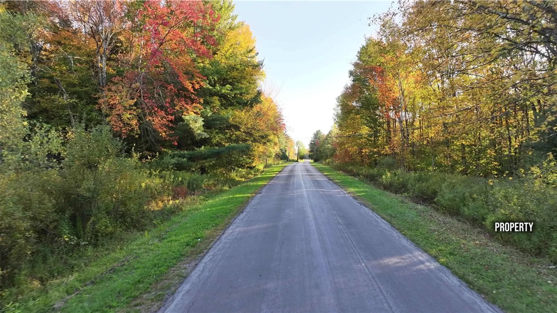 Property at 273 White Road, Parish, NY 13131 11