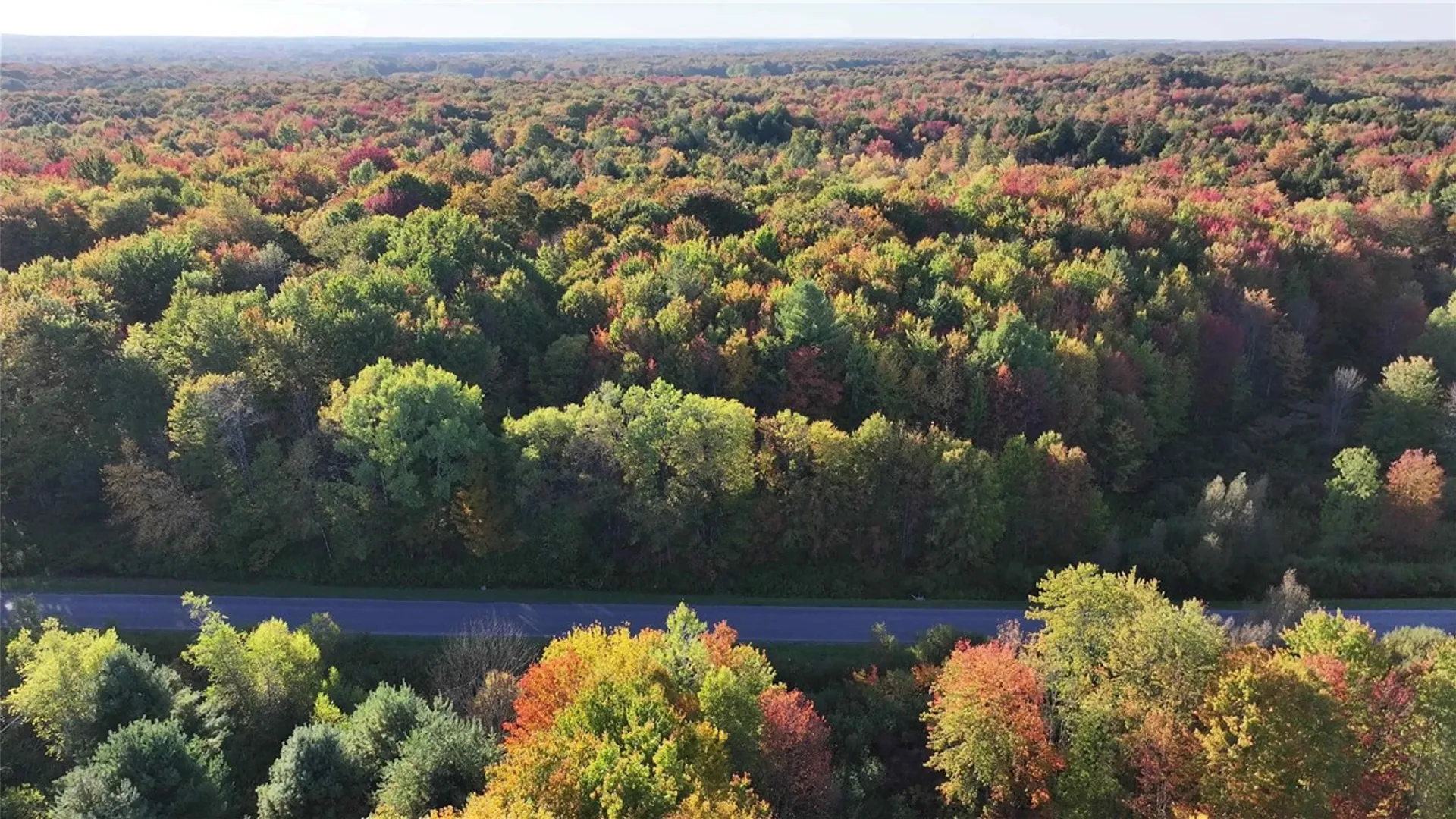 Property at 273 White Road, Parish, NY 13131 12