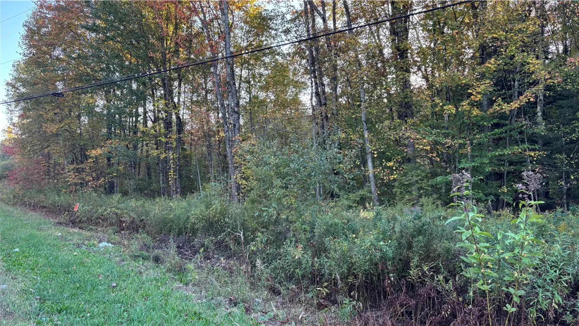 Property at 273 White Road, Parish, NY 13131 17